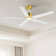52" Emileo Ceiling Fan with LED Lights