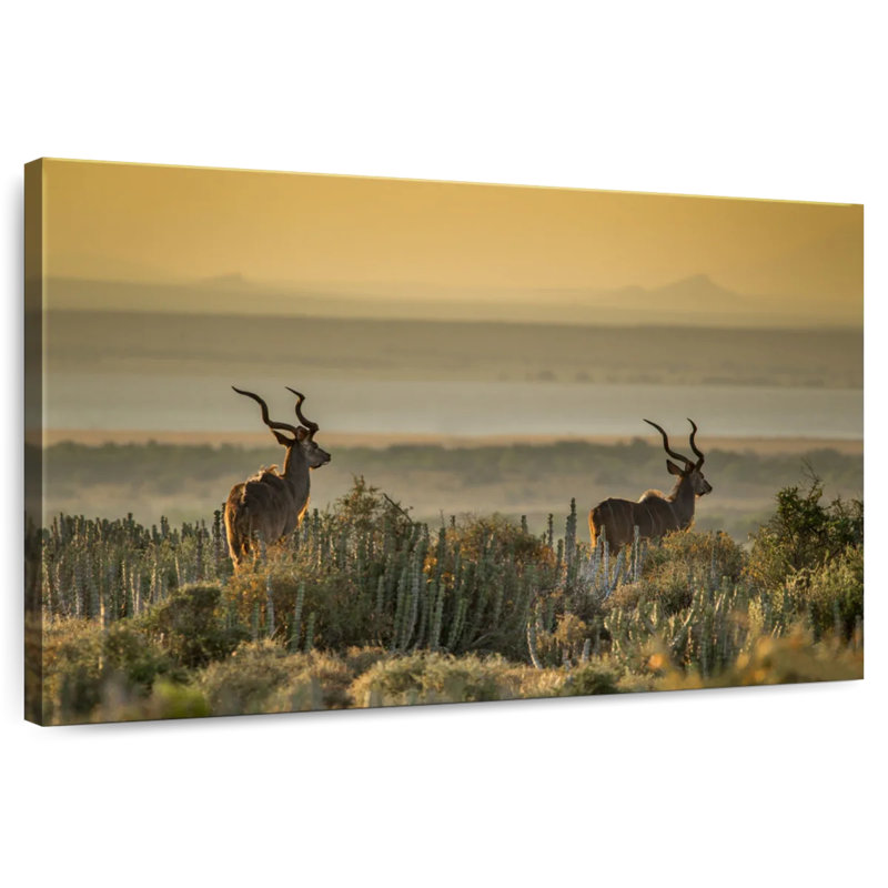 Crowle Kudu Bulls