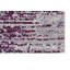Area Rug-69359194