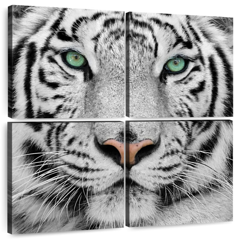 Tigre blanc aux yeux verts Brampt, H 38 po x l 38 po