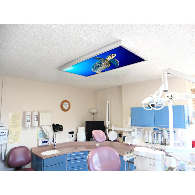 Ocean Classroom Fluorescent Light Covers for Ceiling Lights - For 2x4 Light Fixture - by Octo Lights