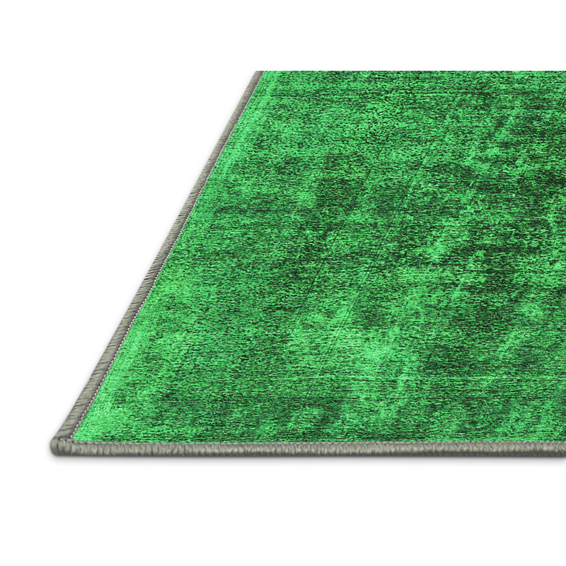 Washable Oriental Indoor Rug, Rectangle 4' x 6'