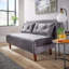 Lonara Two Seater Upholstered Double Sofa Bed-477722744