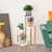 Abdikarin Plant Stand