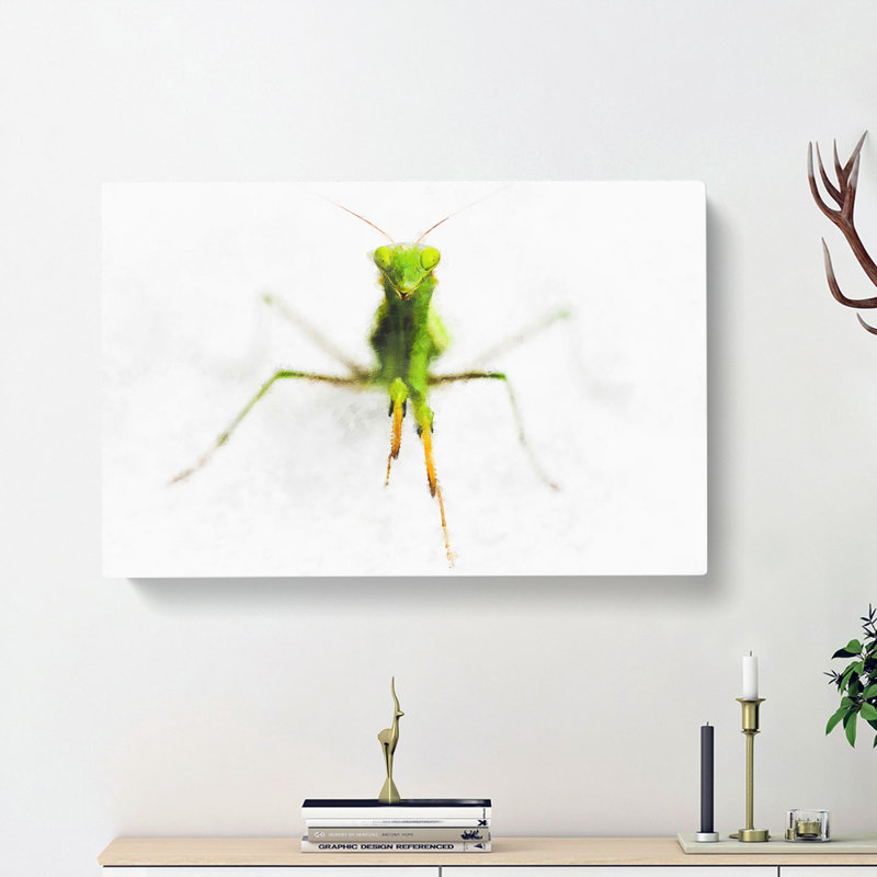 Praying Mantis - Wrapped Canvas Graphic Art Print, 60cm H x 91cm W x 3cm D