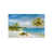 Image Brush Gel