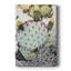 Toile tendue avec châssis rose et vert Cactus I - prêt à accrocher-1908657917