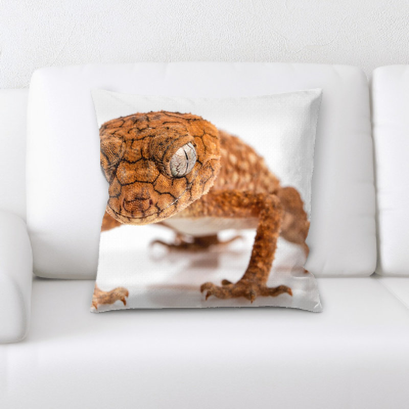 Coussin salamandre