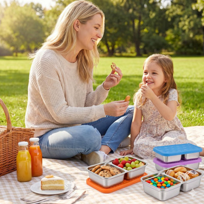 2 Compartment Stainless Steel Snack Container, 2 Per Divided Bento Box