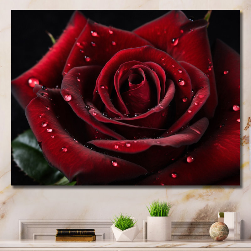 " Red Rose With Raindrops V ", Wrapped Canvas, 34" H x 44" W x 1.5" D