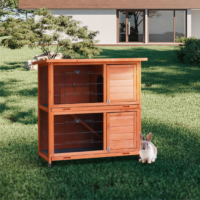 Cage à lapin résistante aux intempéries Darrly, Bois naturel