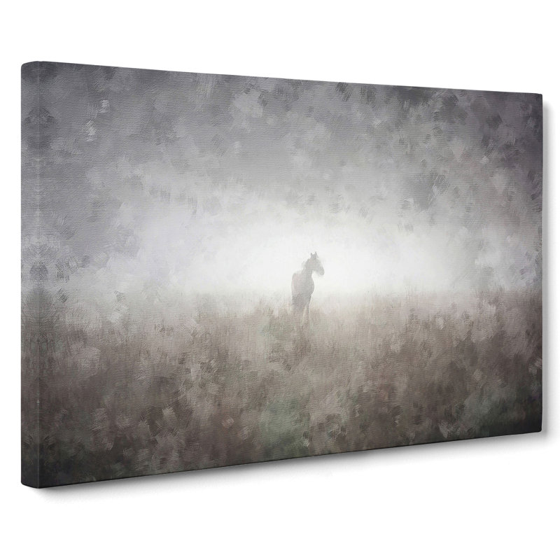 Horse In The Mist - Wrapped Canvas Print, 50cm H x 76cm W x 3cm D