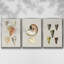 Coquillages antiques sur lin, ensemble de 3 toiles tendues encadrées de qualité supérieure-97759615-97759610