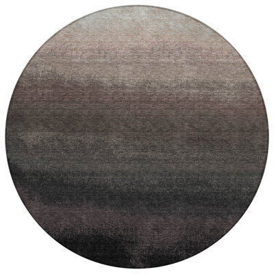 Machine Washable Indoor/Outdoor Xhevrie Black Rug