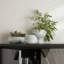 Dandy Vases, Set Of 3
