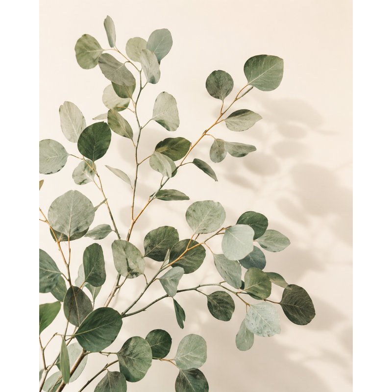 «Eucalyptus Branch Study», art mural botanique vert sur toile tendue, 30"W x 40"H x 1.5"D