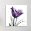 Tulip Dream - Wrapped Canvas Print-311812509