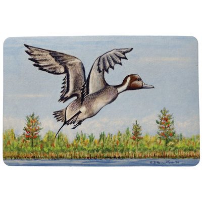 Ollis Non-Slip Indoor Doormat