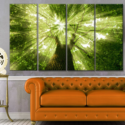 « soleil light peeking through green tree », reproduction de photo à multiples images sur toile