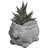 Derwin Statue Planter-557391786-557391789