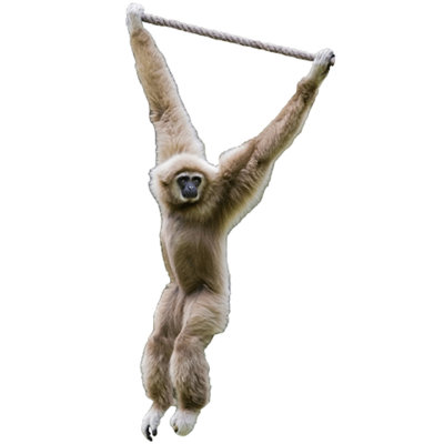 Adhésif décoratif singe pivotant