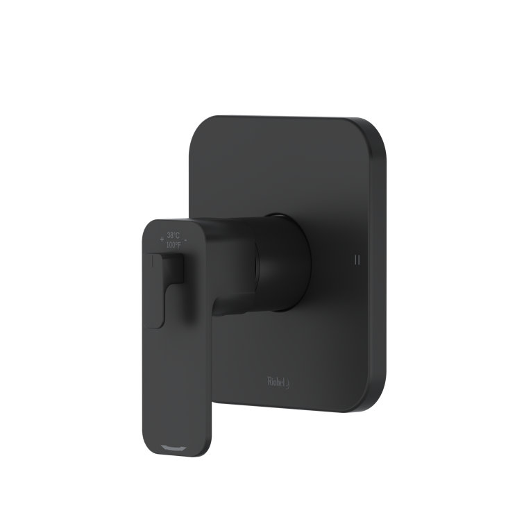 Equinox 1/2" Therm & Pressure Balance Trim With 2 Functions