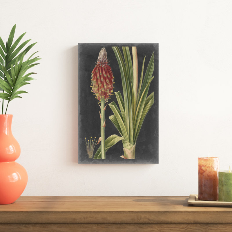 Dramatic Tropicals IV, H 18 po x l 12 po x P 1,25 po