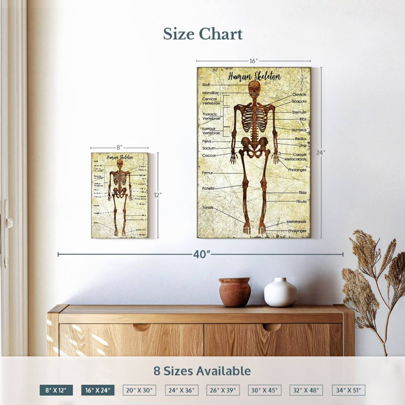 Tableau des squelettes humains Keiri, H 12 po x l 8 po
