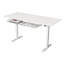 Fawcett Adjustable Height Steel Standing Desk-1900057945-1900057950