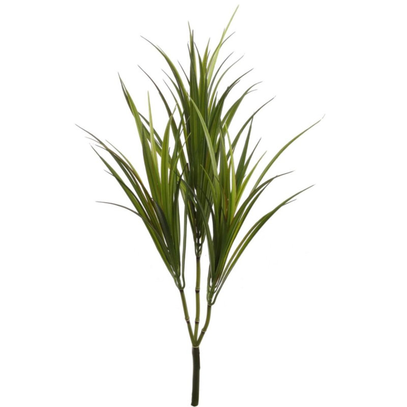 Rocha Faux Dracaena Plant