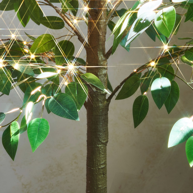 Ficus illuminé 6 pi 264 l