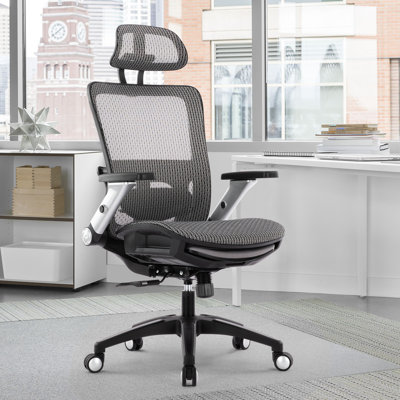 Fauteuil de bureau Ergo Mesh