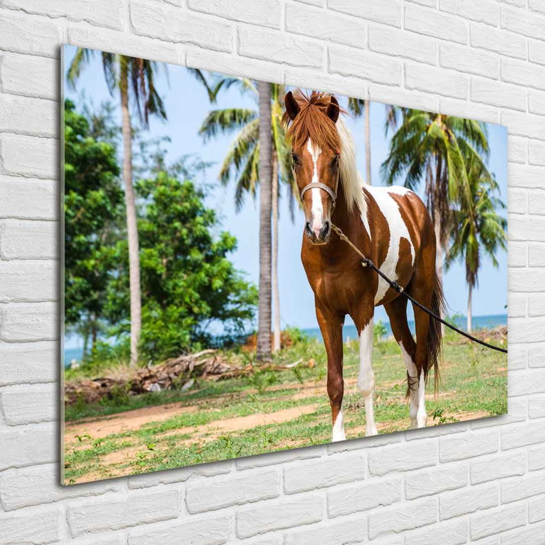 Glasbild Pinto Horse