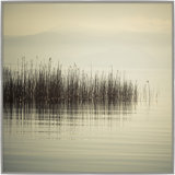 The Morning Lake Giclee Print by Soicher Marin Archives