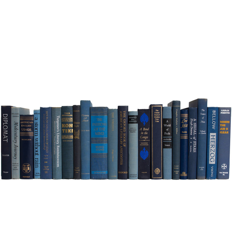 Livres décoratifs - Livres en denim rétro - Livres bleus au pied, Denim