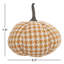 Bernie Patterned Pumpkin