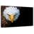 Crowle Fiery Bald Eagle-111983229