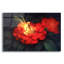 «Night Light-C» par Kirk Reinert-432673389