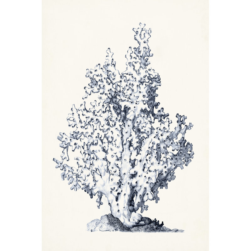 Blue Antique Coral I 1 Piece Wrapped Canvas Wall Art, 122cm H x 81cm W