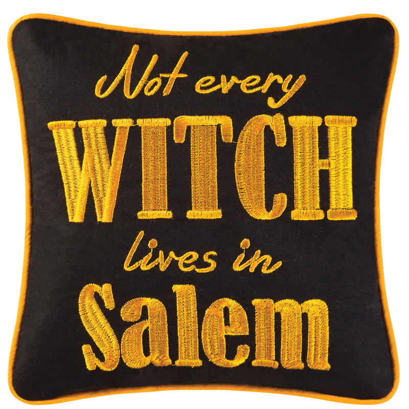Not Every Witch Lives in Salem Halloween Embroidered Pillow