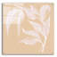 «Leaf Study V» par Chris Paschke-946057352