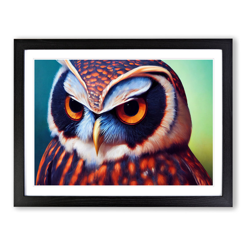 Brilliant Owl - Single Picture Frame Print, 46cm H x 64cm W x 2cm D, Black Framed