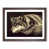 Walnut Framed selected