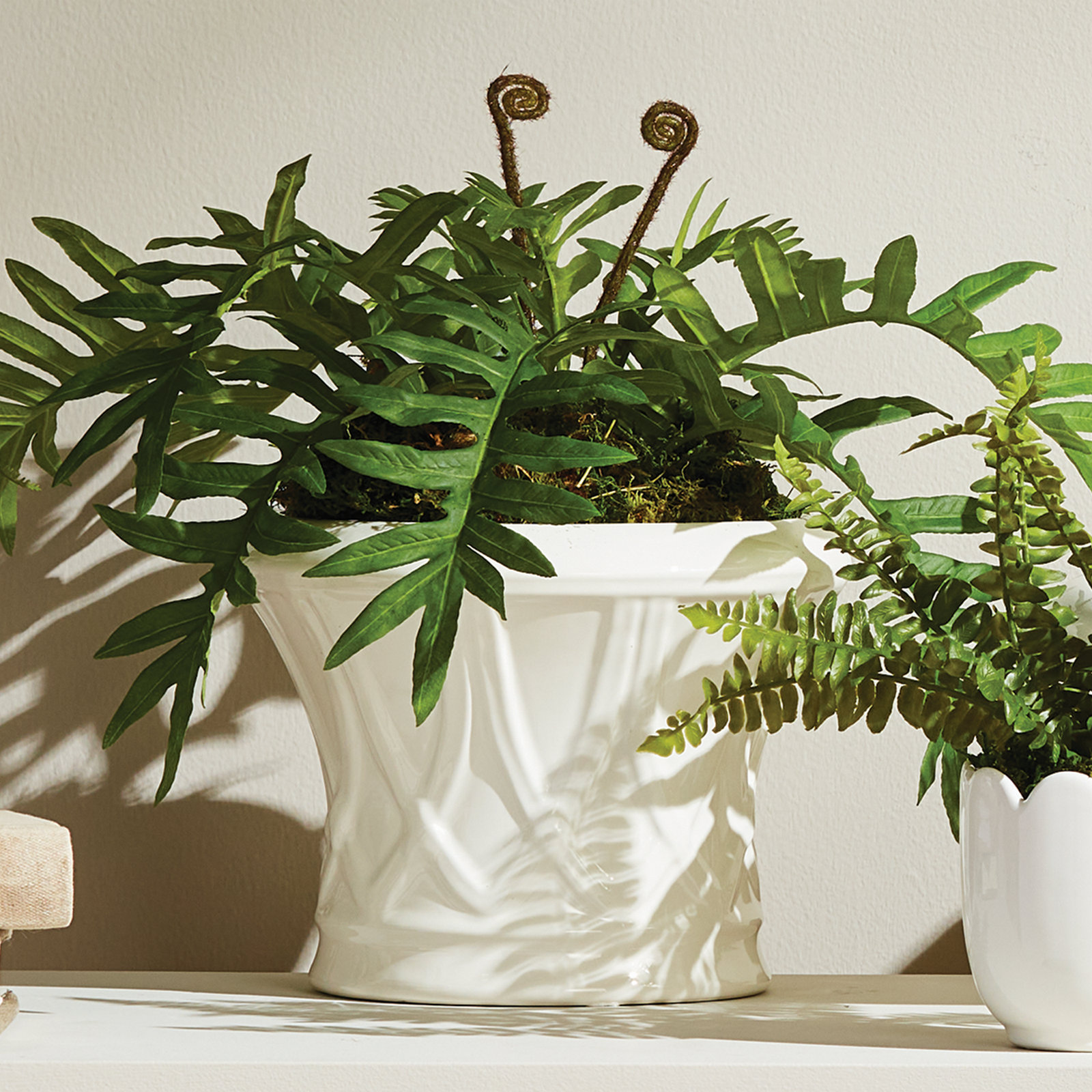 8" Cachepot