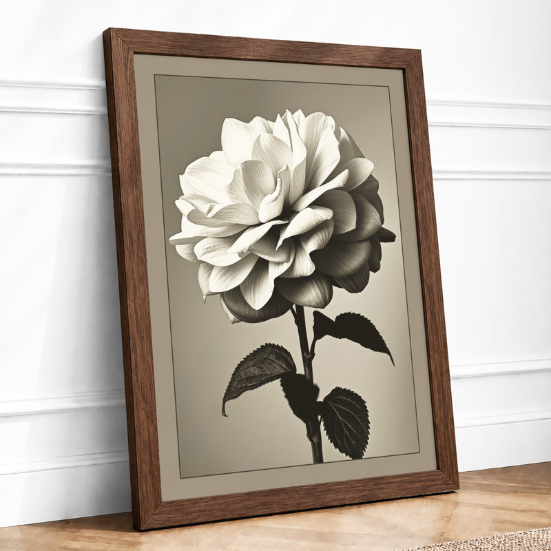 Rose Study Botanical - Framed Print, A1 - 84.1 x 59.4 cm, Walnut