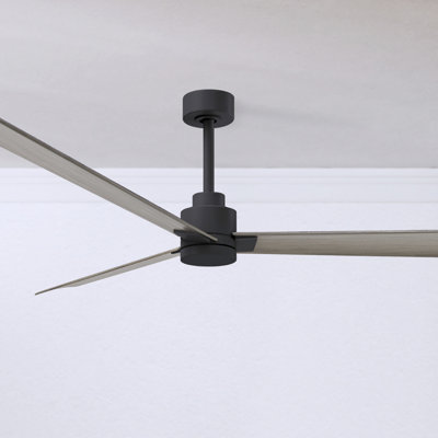 Alessandra 72'' Ceiling Fan
