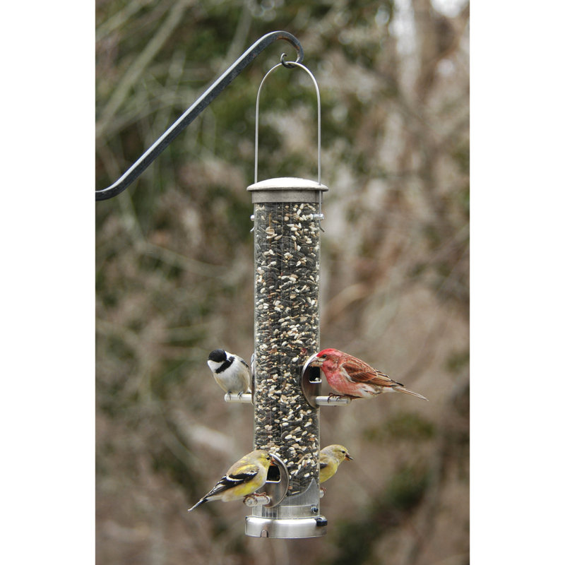 Metal Hanging Tube Bird Feeder, Medium, Brushed Nickle