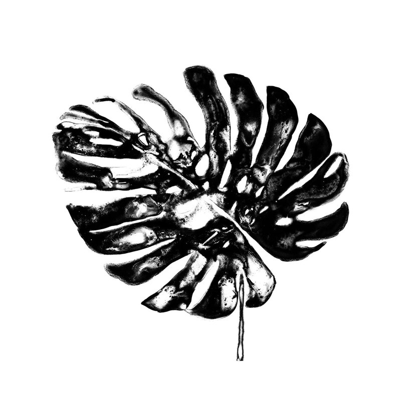 Monochrome Tropic V by June Erica Vess - Wrapped Canvas Gallery-Wrapped Canvas Giclée, 45.72 cm H x 45.72 cm W