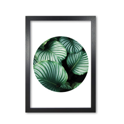 Leaves Circle - Print