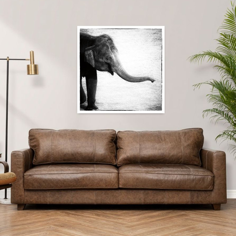 Éléphant II, art contemporain éléphant, H 36 po x l 36 po